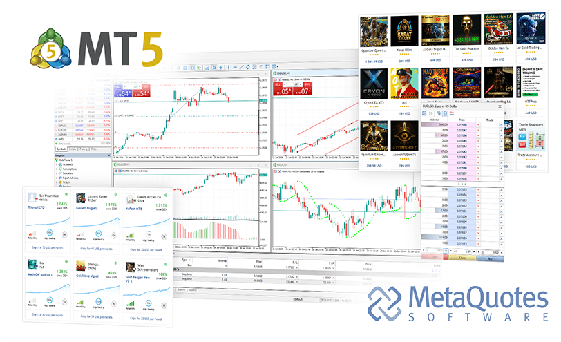 MetaTrader 5 macOS 安装示意