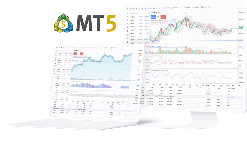 MetaTrader 5 web terminal interface